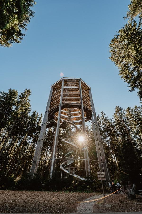 Lipno Nad Vltavou - Apartman 23 - Wifi, Parking, Netflix Luaran gambar