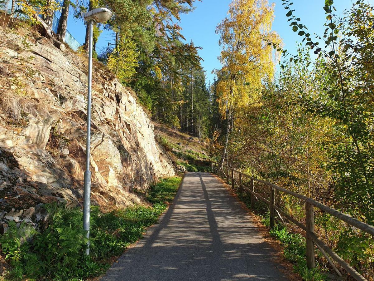 Lipno Nad Vltavou - Apartman 23 - Wifi, Parking, Netflix Luaran gambar