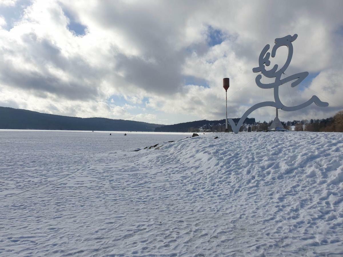 Lipno Nad Vltavou - Apartman 23 - Wifi, Parking, Netflix Luaran gambar